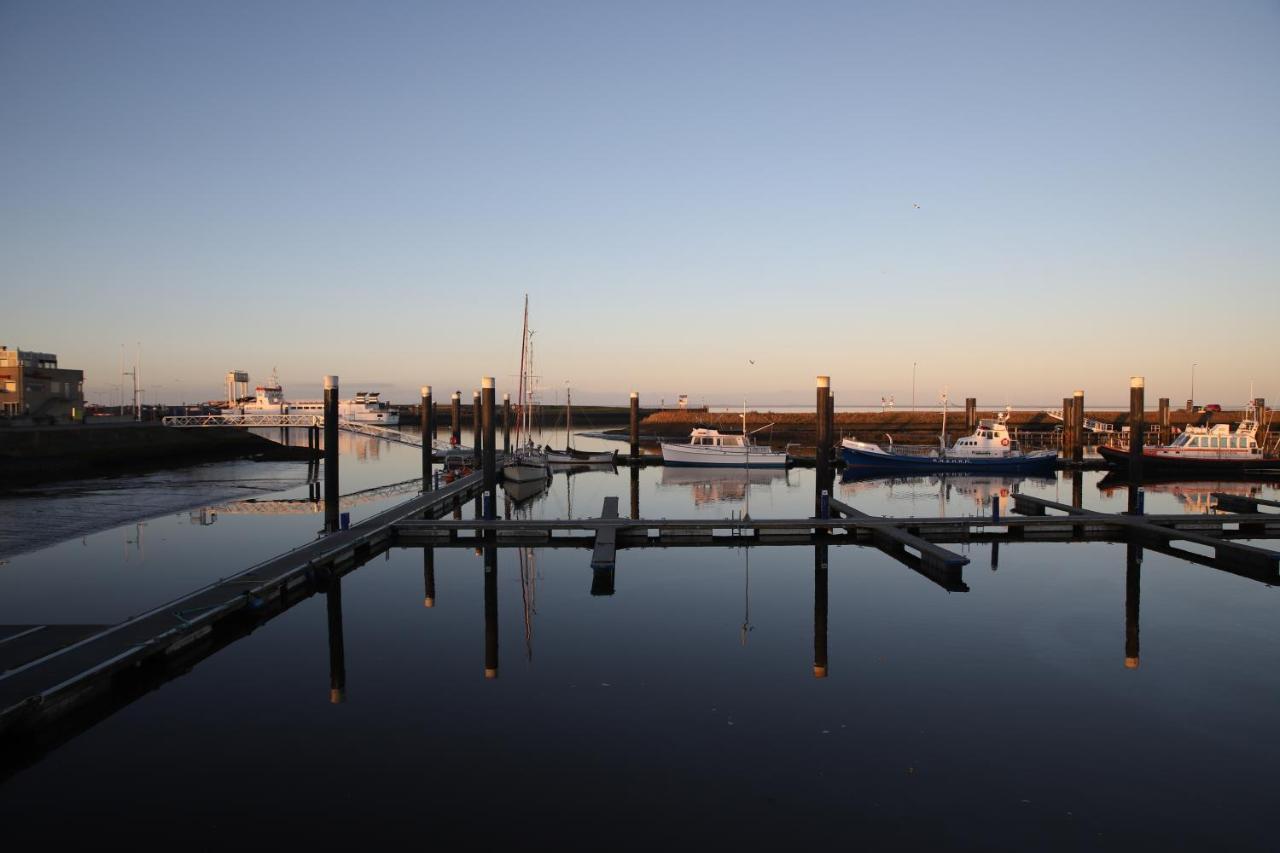 Schierzicht Logement Lauwersoog Exteriör bild