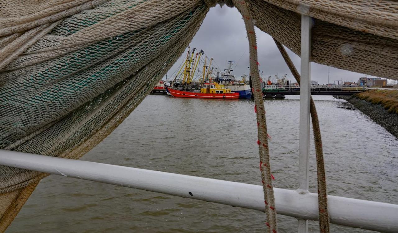 Schierzicht Logement Lauwersoog Exteriör bild