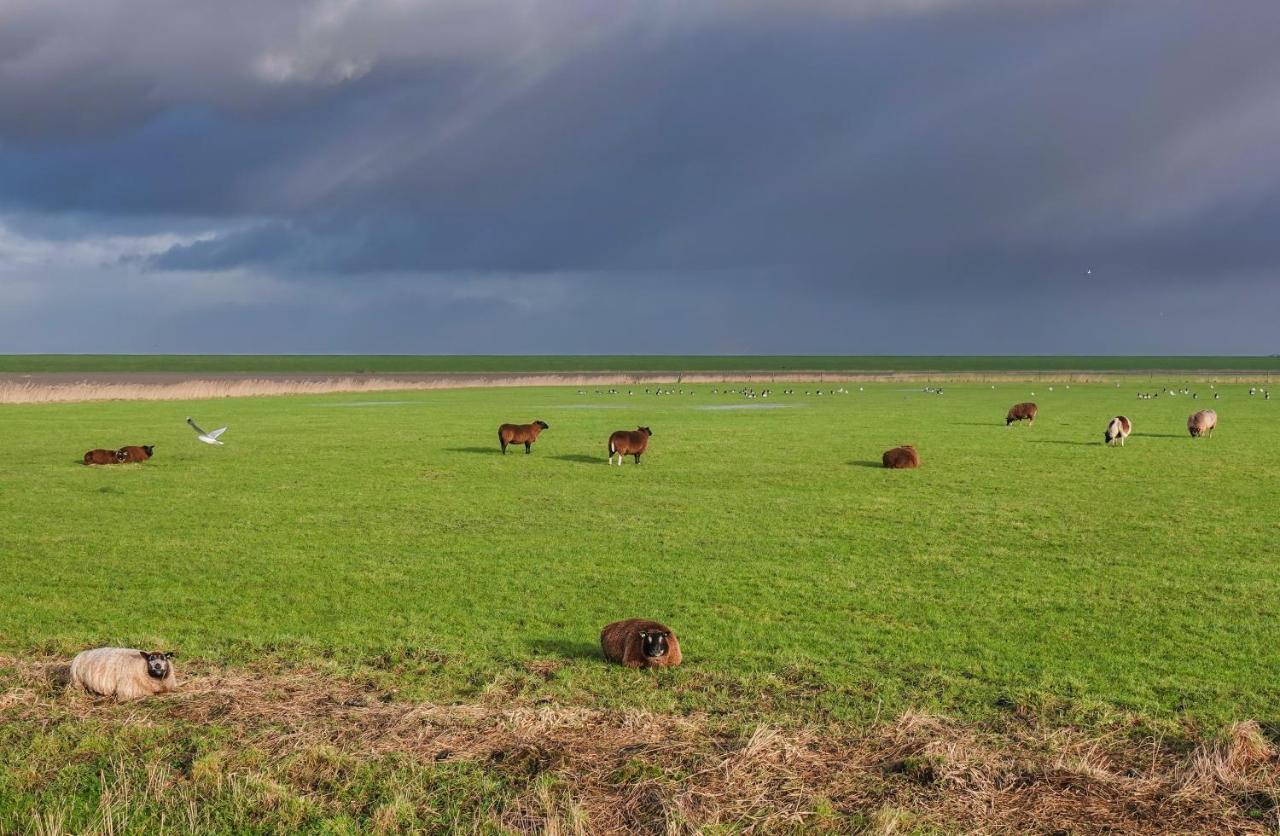 Schierzicht Logement Lauwersoog Exteriör bild